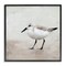 Stupell Industries Lone Sandpiper Bird Portrait Framed Giclee Art